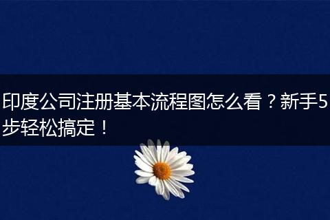 印度公司注冊基本流程圖怎么看？新手5步輕松搞定！