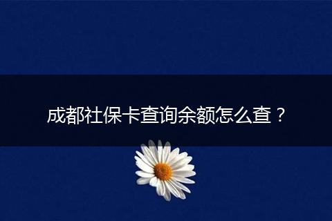 成都社?？ú樵?xún)余額怎么查？