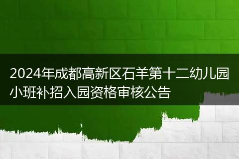 2024年成都高新區(qū)石羊第十二幼兒園小班補招入園資格審核公告