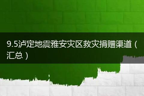 9.5瀘定地震雅安災(zāi)區(qū)救災(zāi)捐贈渠道（匯總）