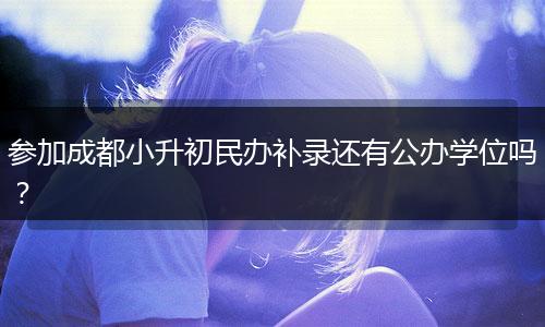 參加成都小升初民辦補(bǔ)錄還有公辦學(xué)位嗎？