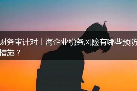 財務(wù)審計對上海企業(yè)稅務(wù)風(fēng)險有哪些預(yù)防措施？