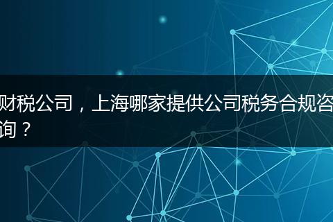 財(cái)稅公司，上海哪家提供公司稅務(wù)合規(guī)咨詢？