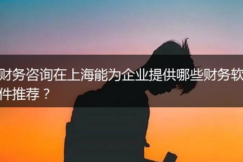 財(cái)務(wù)咨詢(xún)?cè)谏虾Ｄ転槠髽I(yè)提供哪些財(cái)務(wù)軟件推薦？