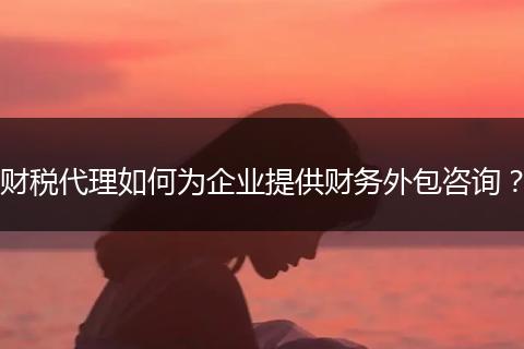 財(cái)稅代理如何為企業(yè)提供財(cái)務(wù)外包咨詢？