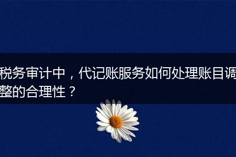 稅務審計中，代記賬服務如何處理賬目調整的合理性？