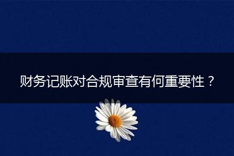 財(cái)務(wù)記賬對合規(guī)審查有何重要性？