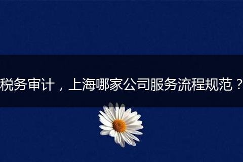 稅務(wù)審計，上海哪家公司服務(wù)流程規(guī)范？