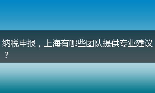 納稅申報，上海有哪些團隊提供專業(yè)建議？