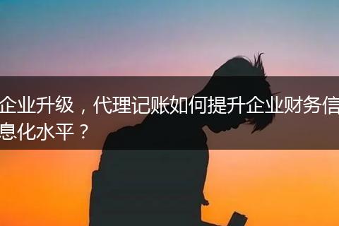 企業(yè)升級(jí)，代理記賬如何提升企業(yè)財(cái)務(wù)信息化水平？