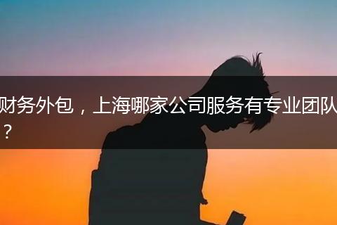 財(cái)務(wù)外包，上海哪家公司服務(wù)有專業(yè)團(tuán)隊(duì)？