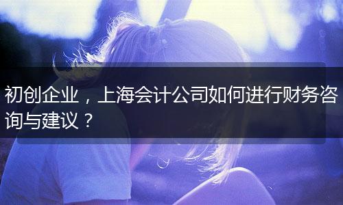 初創(chuàng)企業(yè)，上海會計公司如何進行財務(wù)咨詢與建議？