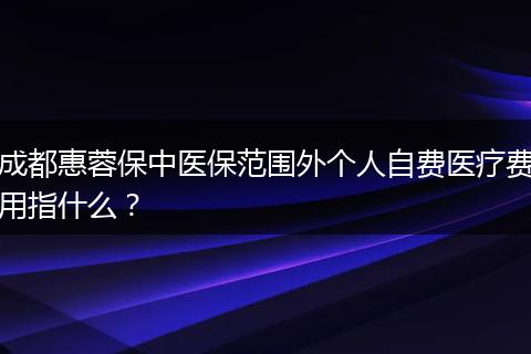 成都惠蓉保中醫(yī)保范圍外個人自費醫(yī)療費用指什么？