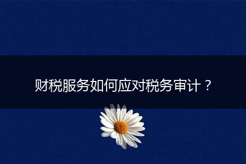 財(cái)稅服務(wù)如何應(yīng)對(duì)稅務(wù)審計(jì)？