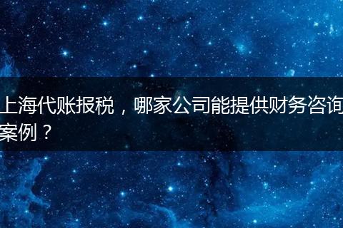 上海代賬報稅，哪家公司能提供財務(wù)咨詢案例？
