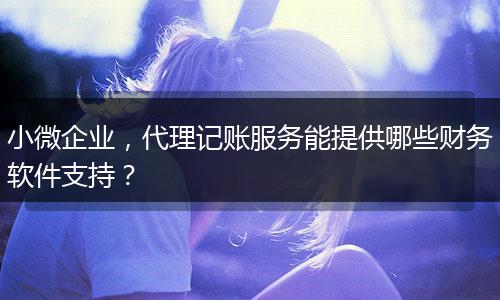 小微企業(yè)，代理記賬服務(wù)能提供哪些財(cái)務(wù)軟件支持？