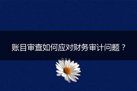 賬目審查如何應對財務審計問題？