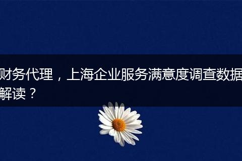 財(cái)務(wù)代理，上海企業(yè)服務(wù)滿意度調(diào)查數(shù)據(jù)解讀？