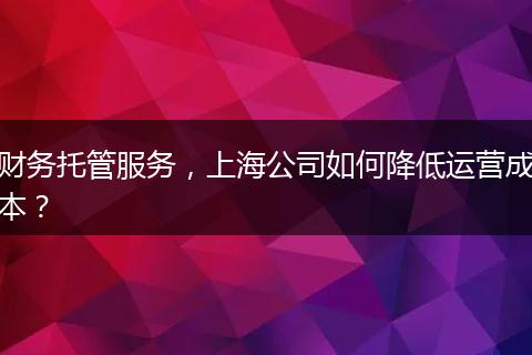 財務(wù)托管服務(wù)，上海公司如何降低運營成本？