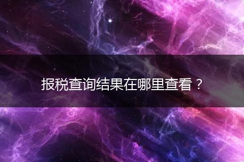 報(bào)稅查詢結(jié)果在哪里查看？