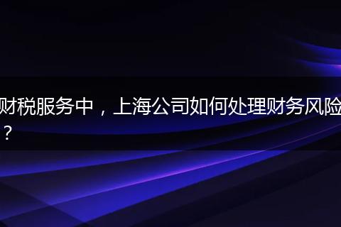 財稅服務(wù)中，上海公司如何處理財務(wù)風(fēng)險？