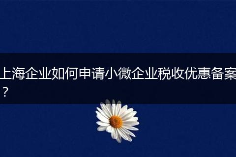 上海企業(yè)如何申請小微企業(yè)稅收優(yōu)惠備案？