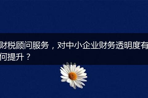 財稅顧問服務(wù)，對中小企業(yè)財務(wù)透明度有何提升？