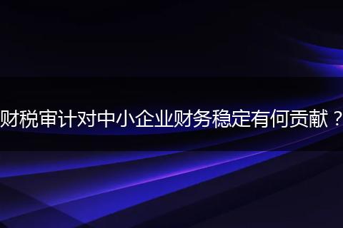 財(cái)稅審計(jì)對(duì)中小企業(yè)財(cái)務(wù)穩(wěn)定有何貢獻(xiàn)？