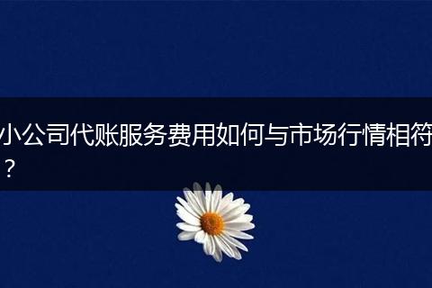 小公司代賬服務(wù)費(fèi)用如何與市場行情相符？