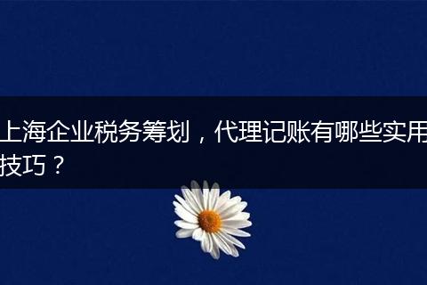 上海企業(yè)稅務(wù)籌劃，代理記賬有哪些實用技巧？