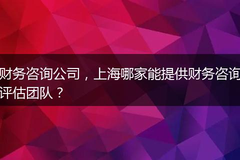 財務(wù)咨詢公司，上海哪家能提供財務(wù)咨詢評估團(tuán)隊？
