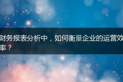 財務報表分析中，如何衡量企業(yè)的運營效率？
