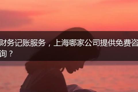 財(cái)務(wù)記賬服務(wù)，上海哪家公司提供免費(fèi)咨詢？
