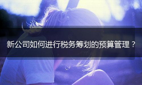 新公司如何進(jìn)行稅務(wù)籌劃的預(yù)算管理？