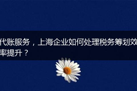 代賬服務(wù)，上海企業(yè)如何處理稅務(wù)籌劃效率提升？
