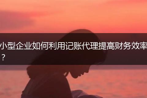 小型企業(yè)如何利用記賬代理提高財(cái)務(wù)效率？