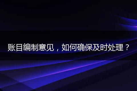 賬目編制意見(jiàn)，如何確保及時(shí)處理？