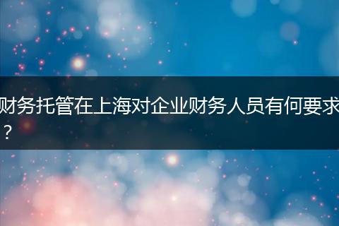 財務托管在上海對企業(yè)財務人員有何要求？