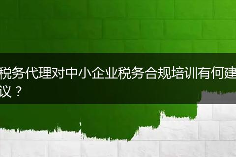 稅務(wù)代理對(duì)中小企業(yè)稅務(wù)合規(guī)培訓(xùn)有何建議？