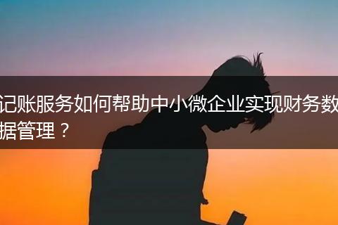 記賬服務(wù)如何幫助中小微企業(yè)實(shí)現(xiàn)財(cái)務(wù)數(shù)據(jù)管理?
