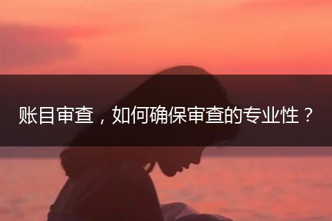 賬目審查，如何確保審查的專業(yè)性？