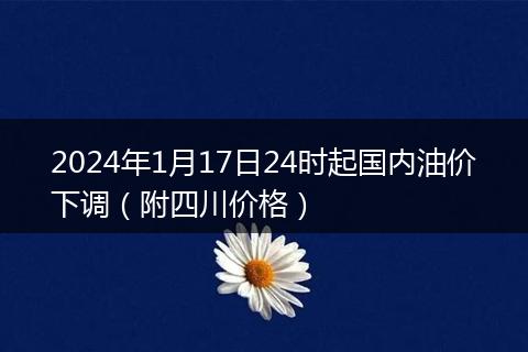 2024年1月17日24時起國內(nèi)油價下調（附四川價格）