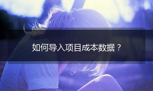如何導(dǎo)入項(xiàng)目成本數(shù)據(jù)？