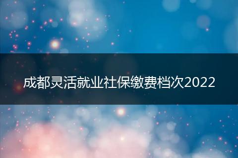 成都靈活就業(yè)社保繳費檔次2022