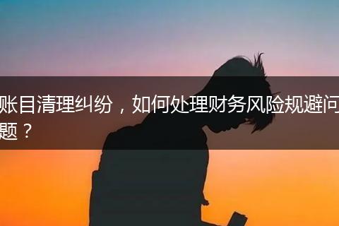 賬目清理糾紛，如何處理財(cái)務(wù)風(fēng)險(xiǎn)規(guī)避問(wèn)題？