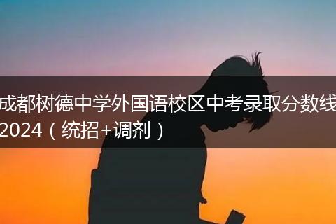 成都樹德中學(xué)外國語校區(qū)中考錄取分?jǐn)?shù)線2024(統(tǒng)招+調(diào)劑)
