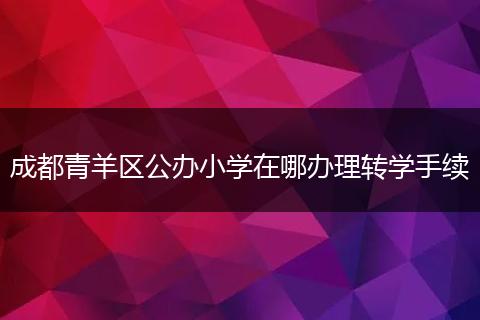 成都青羊區(qū)公辦小學(xué)在哪辦理轉(zhuǎn)學(xué)手續(xù)