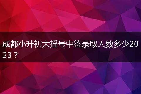成都小升初大搖號(hào)中簽錄取人數(shù)多少2023？