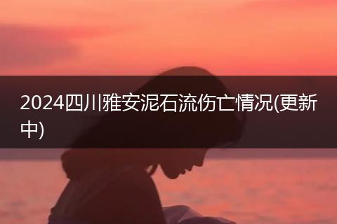 2024四川雅安泥石流傷亡情況(更新中)