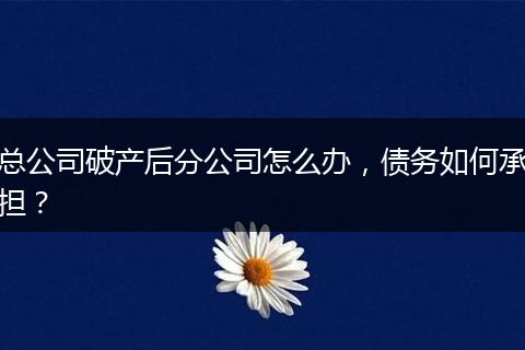 總公司破產(chǎn)后分公司怎么辦，債務(wù)如何承擔(dān)？